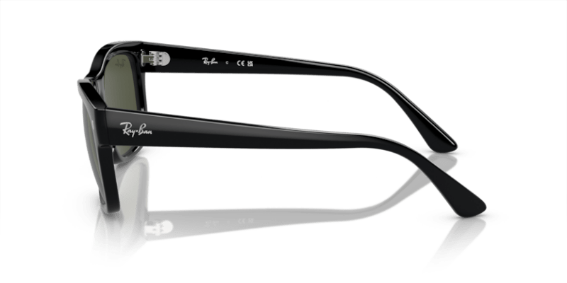 Black - 0RB4428 8056597939140