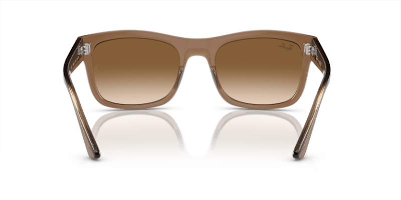 Transparent Light Brown - 0RB4428 8056597939188