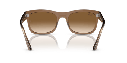Transparent Light Brown - 0RB4428 8056597939188