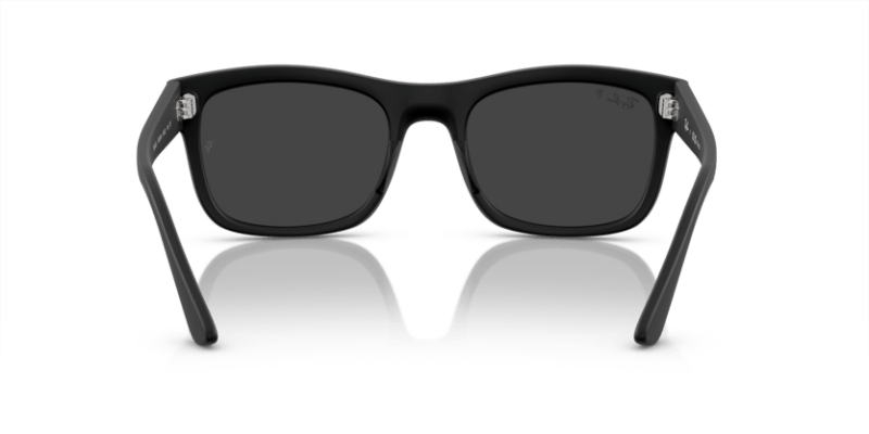 Black - 0RB4428 8056597939164