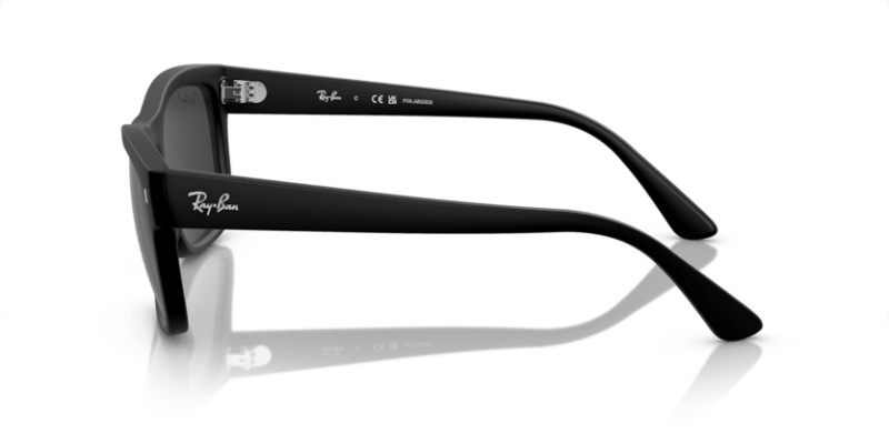 Black - 0RB4428 8056597939164