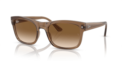 Transparent Light Brown - 0RB4428 8056597939188