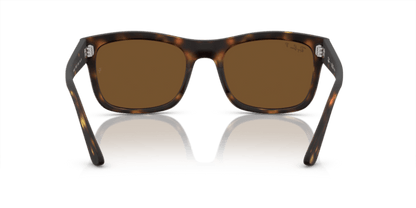 Havana - 0RB4428 8056597939249