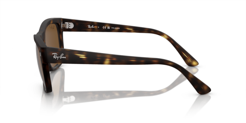 Havana - 0RB4428 8056597939249