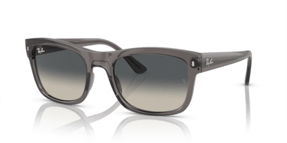 Opal Dark Grey - 0RB4428 8056597939201