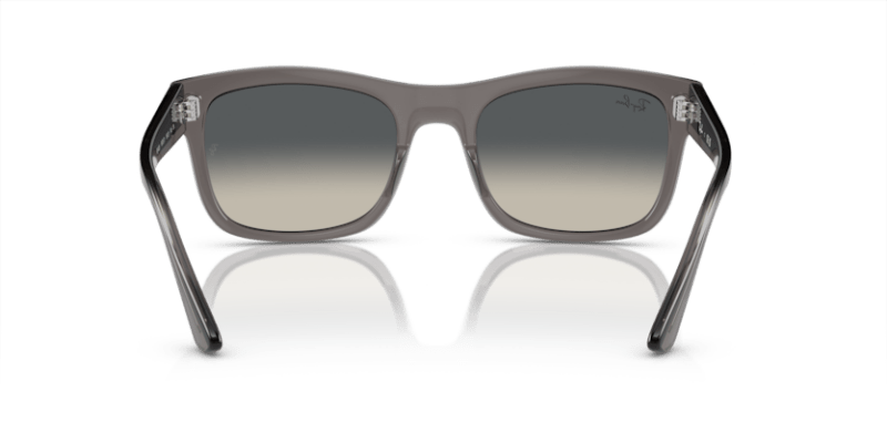 Opal Dark Grey - 0RB4428 8056597939201