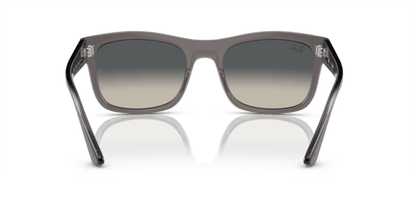 Opal Dark Grey - 0RB4428 8056597939201