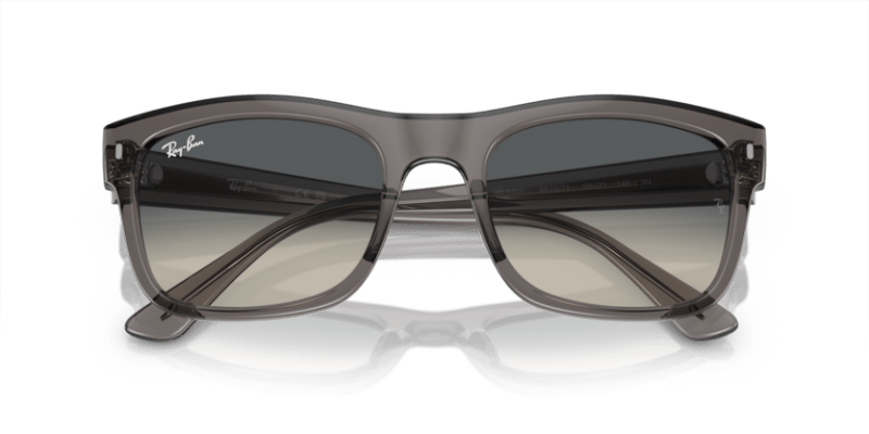 Opal Dark Grey - 0RB4428 8056597939201