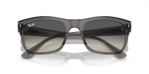 Opal Dark Grey - 0RB4428 8056597939201