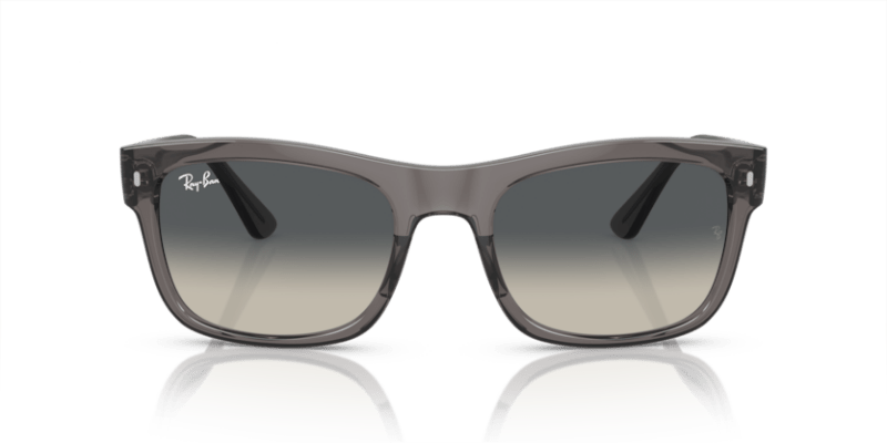 Opal Dark Grey - 0RB4428 8056597939201