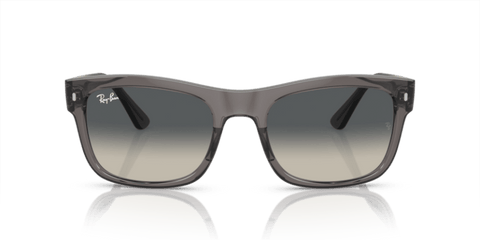 Opal Dark Grey - 0RB4428 8056597939201