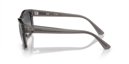 Opal Dark Grey - 0RB4428 8056597939201