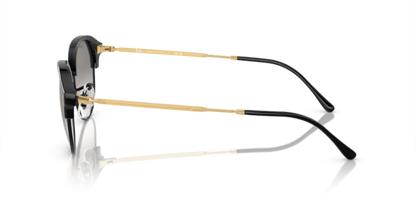 Black On Gold - 0RB4429 8056597939041