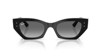 Black - 0RB4430 8056262475157