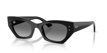 Black - 0RB4430 8056262475157