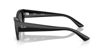 Black - 0RB4430 8056262475157