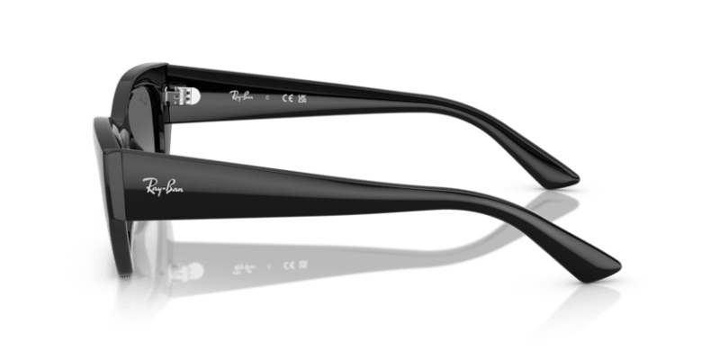 Black - 0RB4430 8056262475157