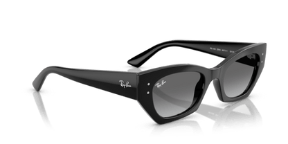 Black - 0RB4430 8056262475157