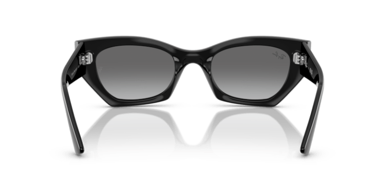 Black - 0RB4430 8056262475157