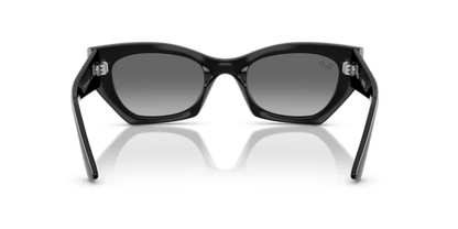 Black - 0RB4430 8056262475157