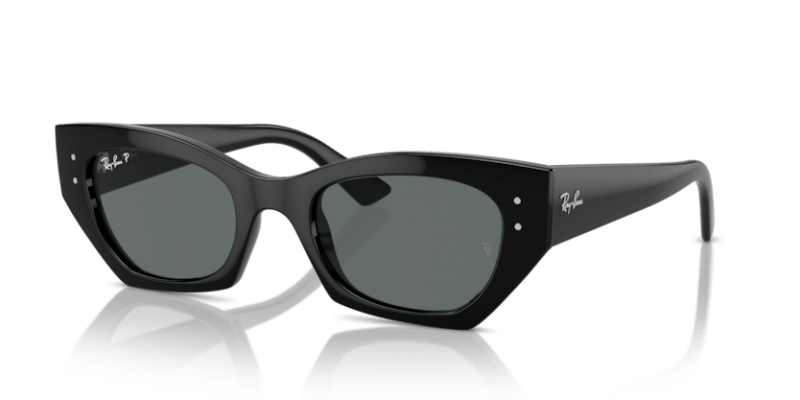 Black - 0RB4430 8056262142608