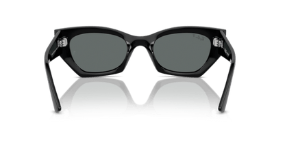 Black - 0RB4430 8056262142608