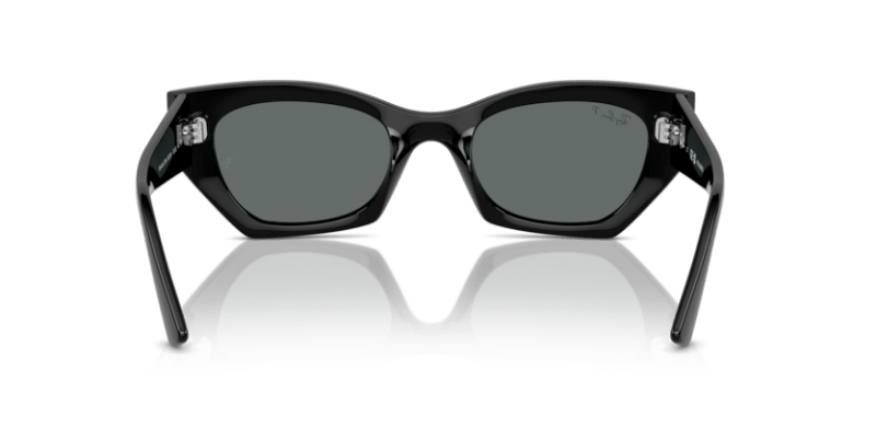 Black - 0RB4430 8056262142608