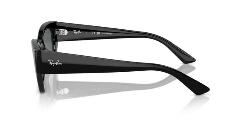 Black - 0RB4430 8056262142608