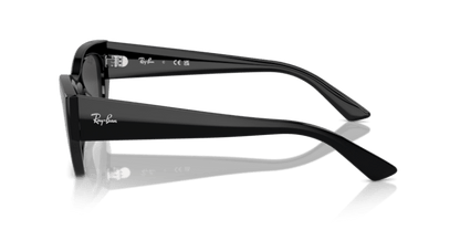 Black - 0RB4430 8056262016657