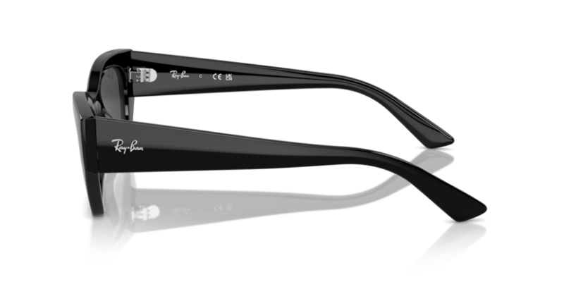 Black - 0RB4430 8056262016657