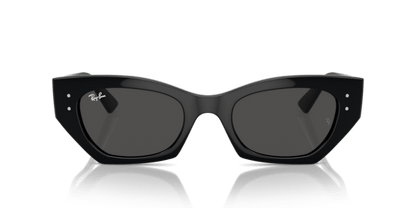 Black - 0RB4430 8056262016657