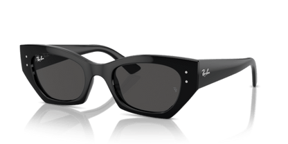 Black - 0RB4430 8056262016657