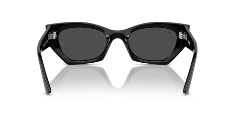 Black - 0RB4430 8056262016657