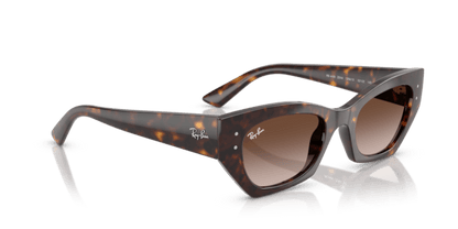 Havana - 0RB4430 8056262475133