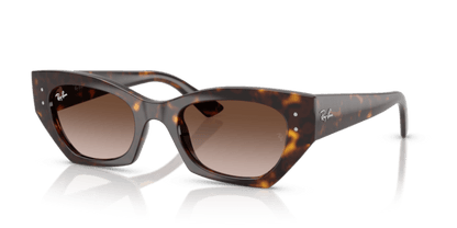 Havana - 0RB4430 8056262475133