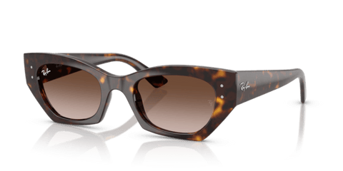 Havana - 0RB4430 8056262475133