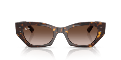 Havana - 0RB4430 8056262475133