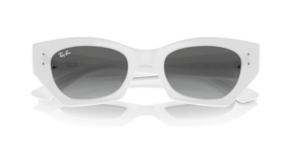 White Snow - 0RB4430 8056262016695