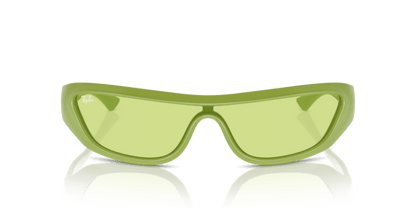 Apple Green - 0RB4431 8056262017753