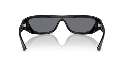 Black - 0RB4431 8056262017722