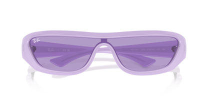 Lilac - 0RB4431 8056262017739