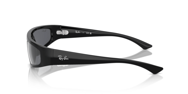 Black - 0RB4432 8056262017418