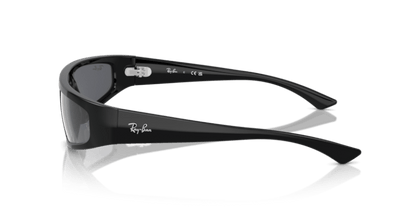 Black - 0RB4432 8056262017418