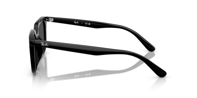 Black - 0RB4439D 8056262268971