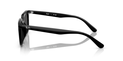 Black - 0RB4439D 8056262268971