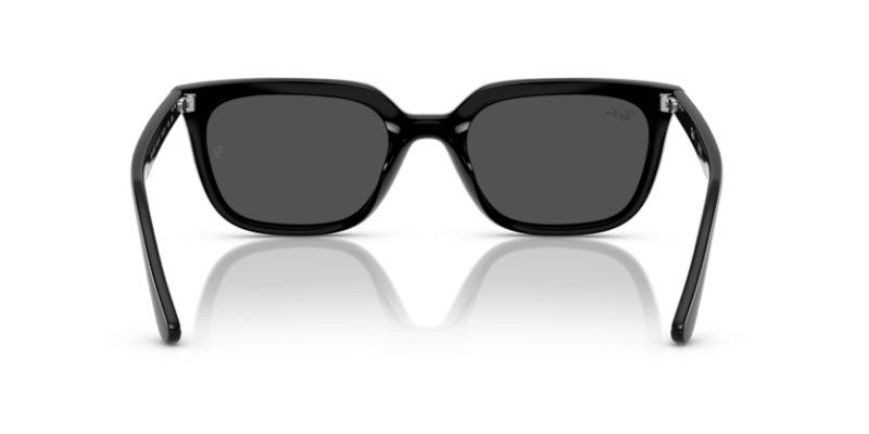 Black - 0RB4439D 8056262268971