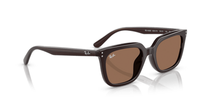 Opal Brown - 0RB4439D 8056262268940