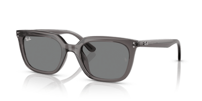 Transparent Grey - 0RB4439D 8056262268957