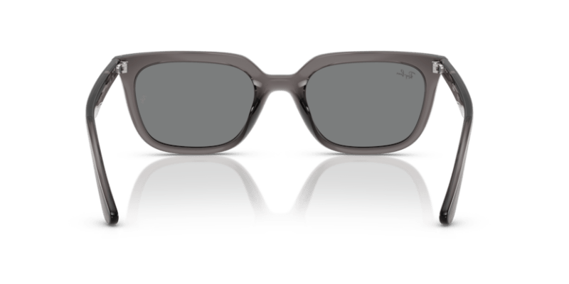 Transparent Grey - 0RB4439D 8056262268957