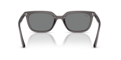 Transparent Grey - 0RB4439D 8056262268957